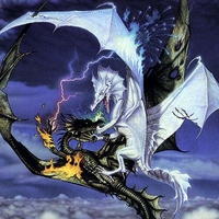 duel the dragon