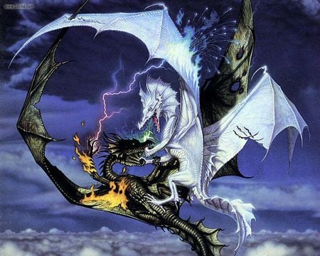 duel the dragon - anime, blue, beach, duel, black, fantasy, white, dragon, fire, sky, other