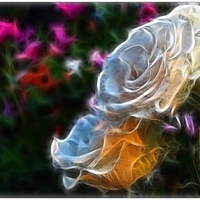 SILK ROSES