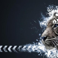 Abstract tiger