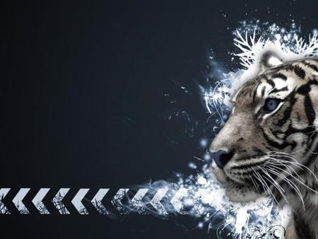 Abstract tiger - wildlife, digital, abstract, tiger