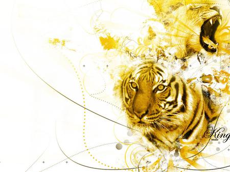 Tiger on yellow - animal, yellow, tiger, wildlife