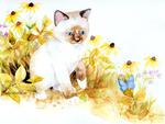 White kitten drawing by Jane Maday