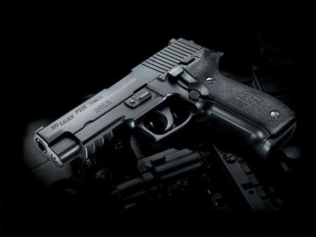 SIGSAUER - sigsauer, black, technology, hand, gun, other