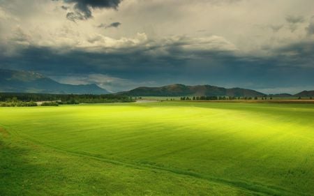 green world - field, nature, world, green