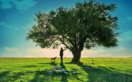 feel the nature - sunset, nature, green, girl, dog, field