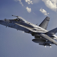 Hornet