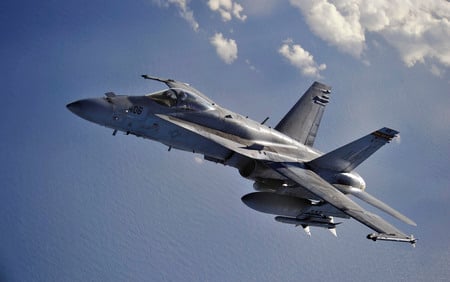 Hornet - usa, aircraft, jet, naval, navy, hornet, sea