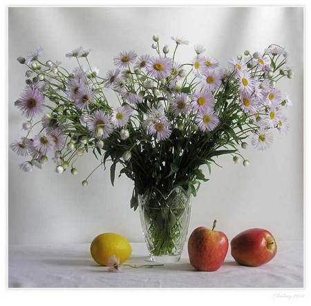 still life - flowers, vase, art photo, nice, fruits, still life