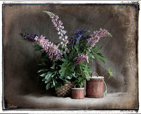 still life - pot, flowers, basket, art photo, nice, box, still life