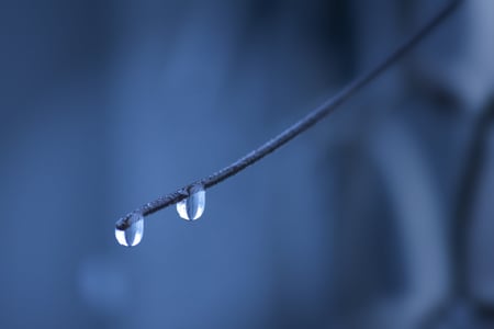 Drops - autumn, blue, branch, drops