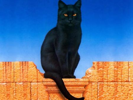 Black kitten - black, kitten, blue, cat