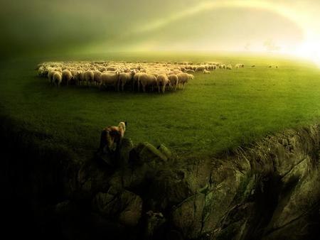 Magic creatures * Flock * - sheep, nature, flock, dog, field, grass