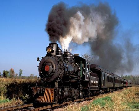 Train - nature, train, photography