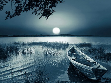 moonlight - moon, water, nature, boat, lake, tree, sky