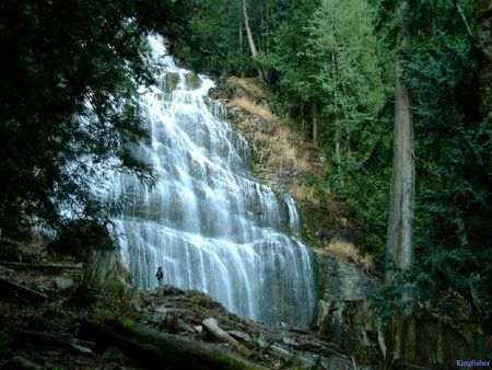 Bridal Falls - nature, water, waterfalls