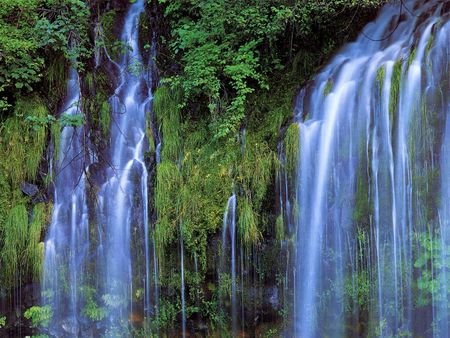 California Falls - nature, water, waterfalls, falls