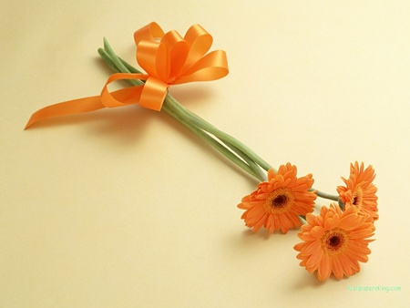 flowers - flowers, nature, 3d, color, orange