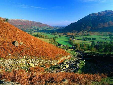 Great Langdale !!! - plant, sky, mountain