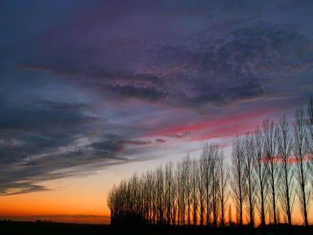 moody sky  - moody, sky, moody sky, nature