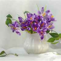 still life