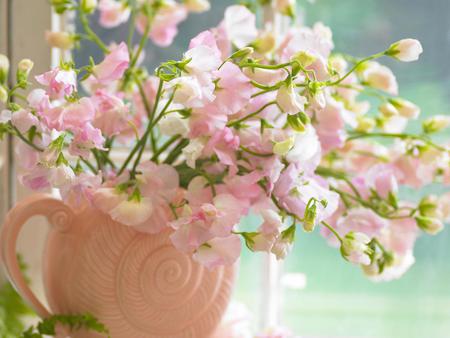 Still life - art, still life, flower, pink