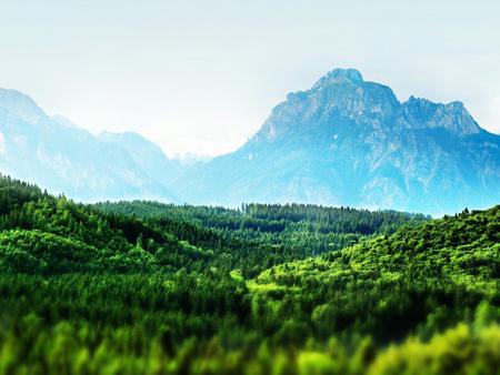 Field - field, mountain, landscape, grass