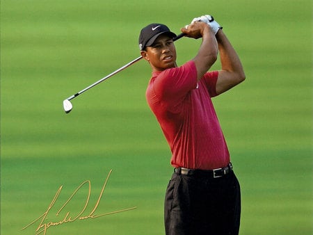 Tiger Wood - male, expert, the best, green, golf player, dress