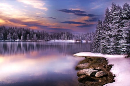 Winter mirror - lake, trees, peaceful, coral and blue sky, shore, rocks, reflections, snow, mirror like water