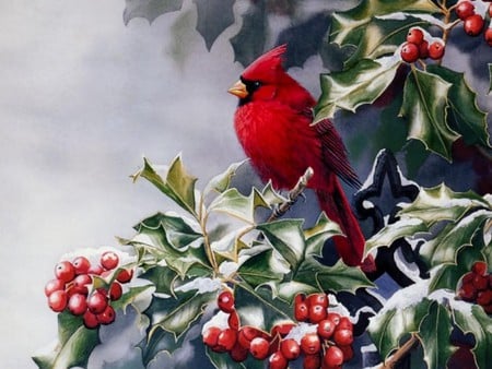 Bullfinch and a mountain ash - christmas time, mountain, bullfinch, ash