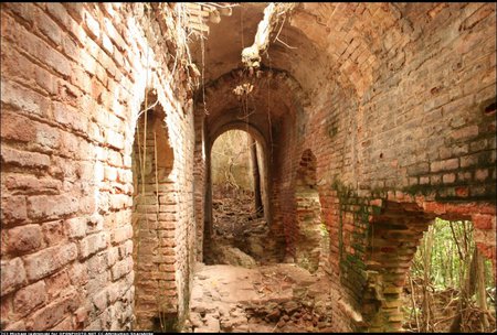 Sugar plantation ruins