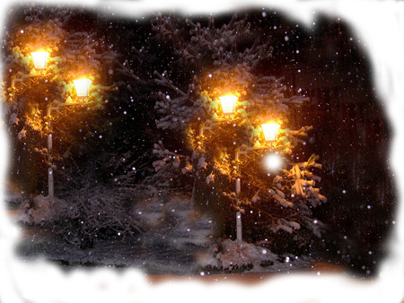 Cold Winter - christmas time, cold, winter, night, freeze