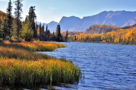 Bonnie Lake-Chickaloon-Alaska - picture, bonnie lake, alaska, chickaloon, cool