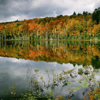 Autumn Lake