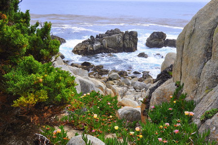 view - nice, beach, ocean, rocks, nature, view, cool, beautiful, flowers, stones, sea, grass