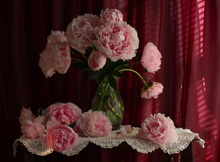 still life - nice, photography, bouquet, gentle, still life, vase, cool, pink, beautiful, lace, peony, flowers, photo, flower, harmony