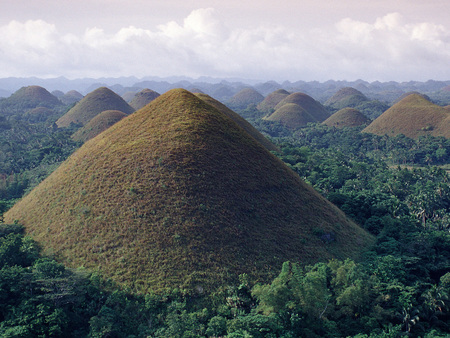 Bohol Chocolate Hills - trees, hills, nature, formation, chocolate, natural