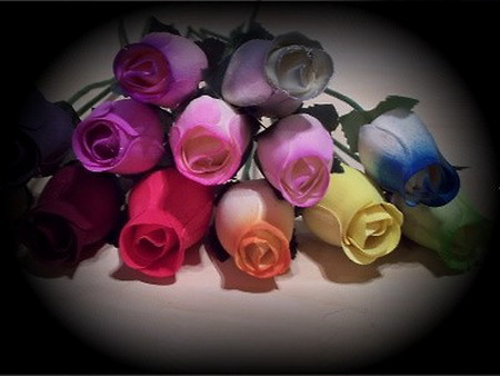 Love in many colors - roses, fuschia, coral, yellow, pink, red, blue, leaves, colors