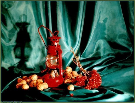 Evening Still Life - nice, art photo, red, composition, lamp, nuss, berrys