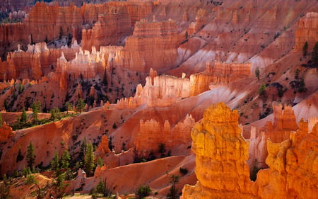 Rock Formation ... Wow - trees, pink, coloured, formations, green, orange, rock