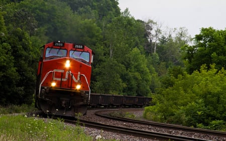 Number 2688 - train, abstract, forest, photography