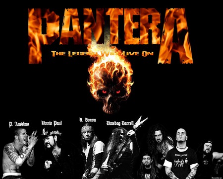 Pantera - music, pantera, cool, yeah