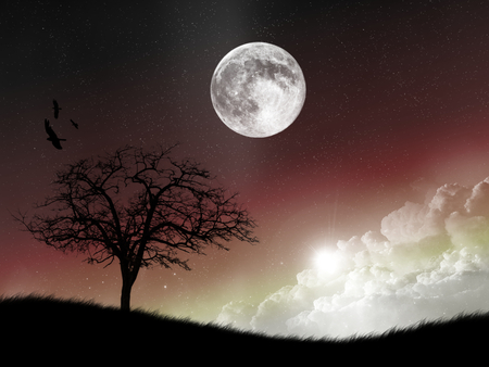 Moonlight - clouds, moon, birds, landscape, grass, night, stars, dark, red