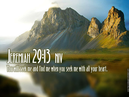 Jerimiah 29:13 - jerimiah, seek, god, nature