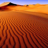 Amid the Dunes