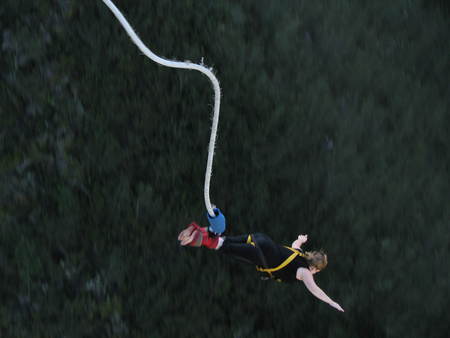 Bungee Anyone? - jumping, bungee, sport, trees