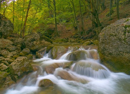 Cool Stream - stream, picture, cool, beautiful