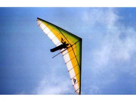 Friendly Skies - kite, sky, delta, hang glide