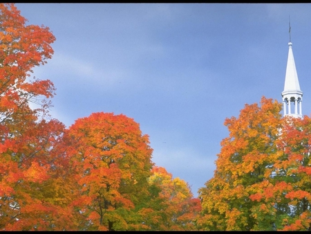 Chapel in autumn - red, tree, season, autumn