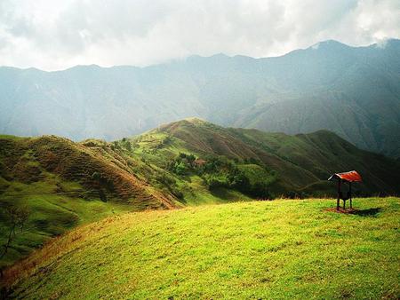 Field - field, nature, mountain, grass